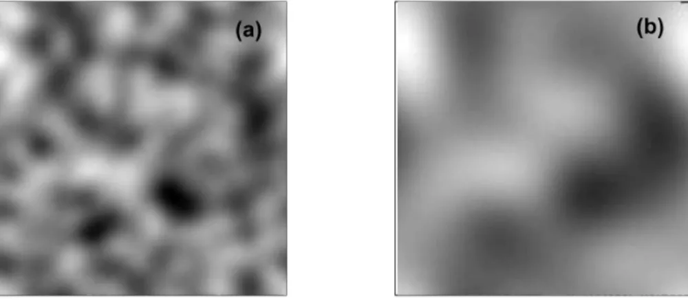 Fig. 7. Patterns of noise for two different values of the correlation length. (a) ` = 39.2 deg and (b) ` = 112 deg for a grid consisting of 32 × 64 points