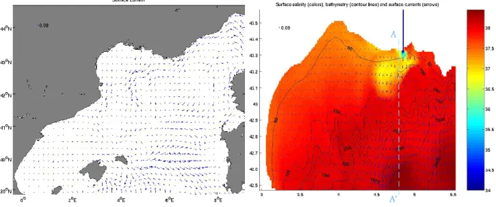 Fig. 3. Example of model results: plots from 17 January 1998. (a) Surface current velocity [m s −1 ] in the intermediate grid