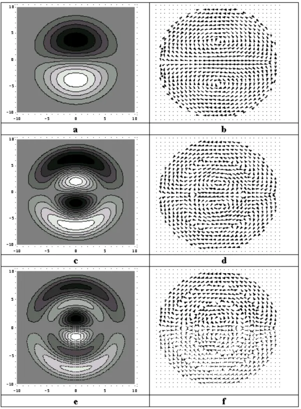 Fig. 1. Contour plot of the flux function 9 and respective velocity field in for a vortex with dimensionless radius a = 10 and velocity u = 0.06