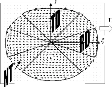 Fig. 3. Scheme for discontinuity types associated with the vortex solution (11). U indicates velocity of the structure.