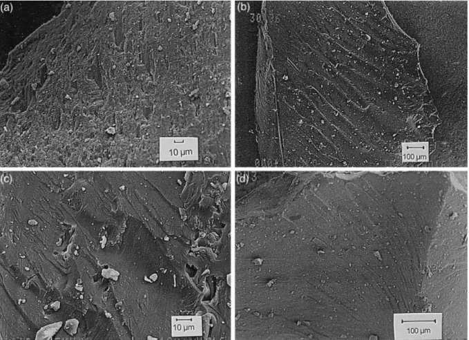 Fig. 5. SEM Photomicrographs showing the ultrastructure of the vitrains. (a) Woody  structures with aligned cellular walls and cavities observed in Tv