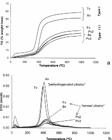 Fig. 8. Thermal behaviour of the vitrains during thermogravimetric analysis. (a) TG curves (% 