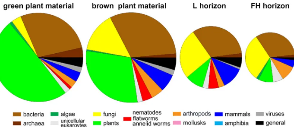 Figure 1: Phylogenetic distribution of proteins extracted from decomposing plant material  at different layers ranging from a green moss layer to the FH horizon