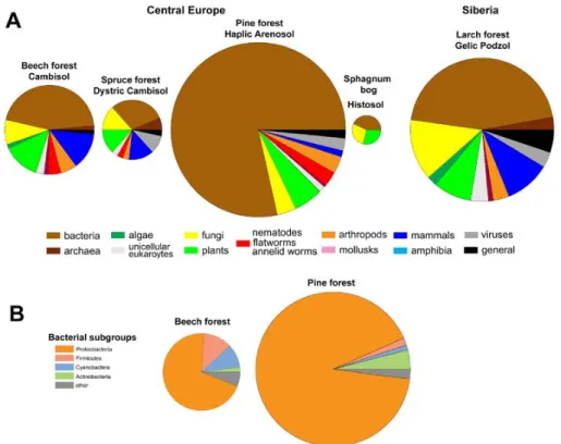 Figure 3: (A) Phylogenetic distribution of proteins identified from DOM leachates of  different soil types