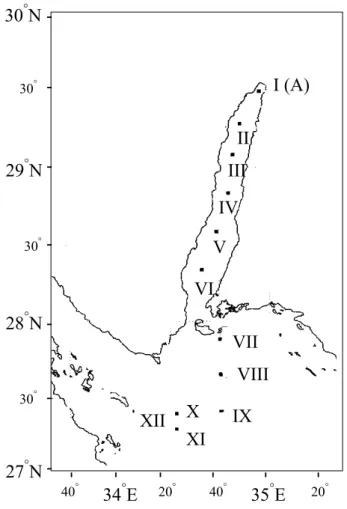 Fig. 1. Map of the study site indicating stations for water sample collection in the Gulf of Aqaba and the northern Red Sea during the RV “Meteor” cruise 44/2.