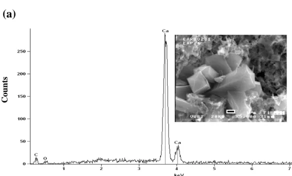 Fig. 3. (a) Energy dispersive x-ray (EDX) analysis of prismatic and bipyramidal crystals (in- (in-serted figure) showing high calcium content with C and O