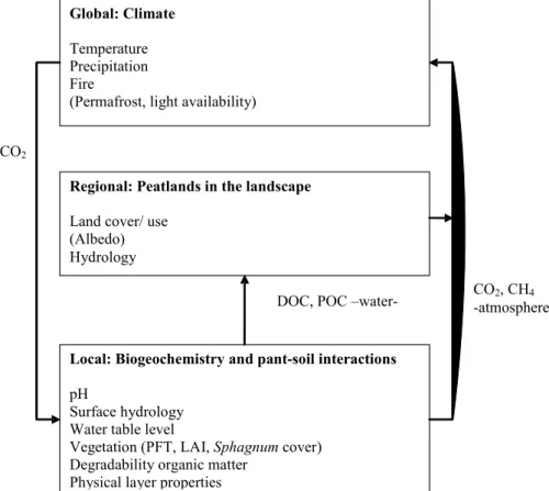 Fig. 5. Conceptual overview of the key biogeochemical and biophysical drivers of the peat- peat-land carbon balance at di ff erent spatial scales