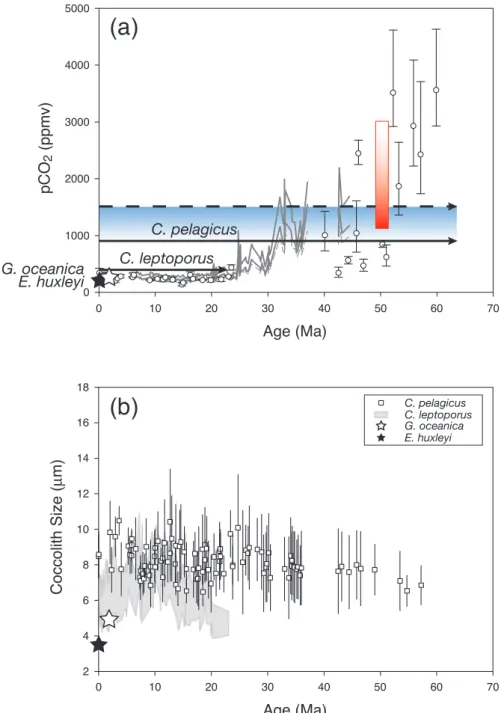 Fig. 1. (a) At face value, the levels of pCO 2 tolerated by different coccolithophore species for calcification in culture experiments (Riebesell et al., 2000; Langer et al., 2006) coincide with levels of pCO 2 from marine proxy reconstructions, based on a