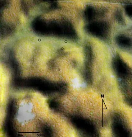 Fig. 1. Composite of satellite images from a tographical gradient in Central Amazonia along which δ 13 C a , c a , δ 13 C leaf , δ 13 C litter and δ 13 C soil were measured