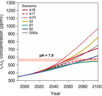 Fig. 3. Projected rates of change in atmospheric CO 2 concentration for a range of SRES scenarios (IPCC, 2001)