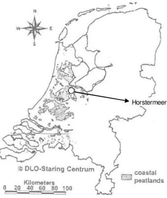 Fig. 1. Current distribution of peat soils in the western part of the Netherlands (SC-DLO 1992) and location of Horstermeer research site.