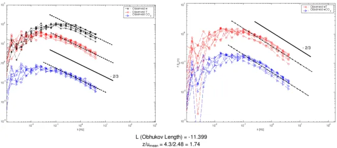 Fig. 2. Power-spectra of w, T and CO 2 -concentration (left) and co-spectra of w ′ T ′ and w ′ CO 2 ′ (right) for 10 Hz eddy covariance data of seven half hours in spring 2005