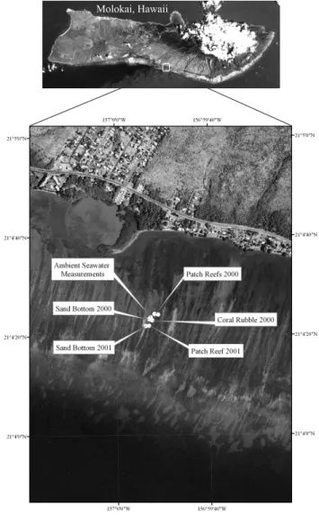 Fig. 1. Study sites for measurement of calcification and dissolution on patch reefs, sand bottom and coral rubble of the Molokai reef flat.