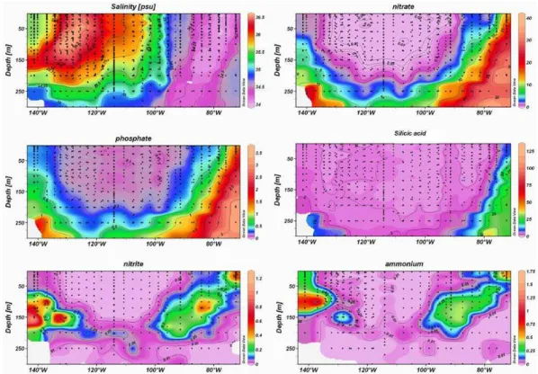 Fig. 2. Longitudinal section of salinity, nitrate, phosphate, silicic acid, nitrite and ammonium along the BIOSOPE Transect
