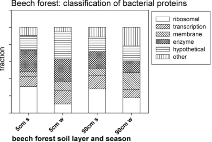 Figure 3: Functional classification of the bacterial proteins identified from leachates of a  beech forest on rendzic leptosol for two different soil depths (5 cm and 90 cm) and  seasons (summer and winter)