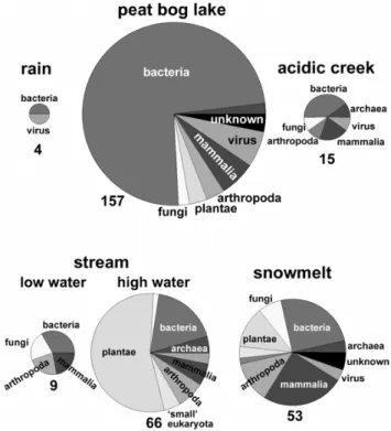Figure 5: Phylogenetic distribution of proteins identified in different sources of surface  water, such as rain collected in a rain collector, a peat bog lake, an acidic creek in a bog  area, and a stream at low and high water and water collected from snow