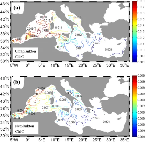 Fig. 3. Surficial (0–20 m) annual mean chlorophyll to carbon ratio maps relative to ultraplankton (a) and netplankton (b) in the case of GARUN simulation