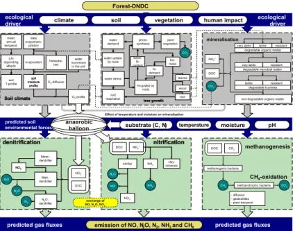 Fig. 2. Structure of the Forest-DNDC model.