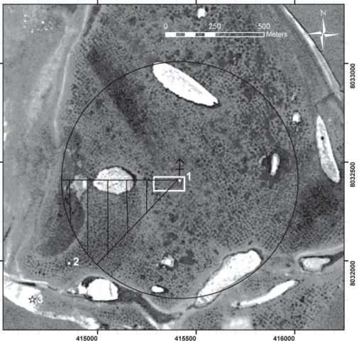 Fig. 2. CORONA satellite image of Samoylov Island, taken on 22 June 1964. The star symbols mark the position of (1) the eddy covariance system, (2) the long-term meteorological and soil station, and (3) the field laboratory