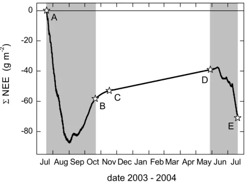 Fig. 9. Cumulative net ecosystem exchange Σ NEE from July 2003 to July 2004. The periods of the micrometeorological measurements are highlighted by the grey background