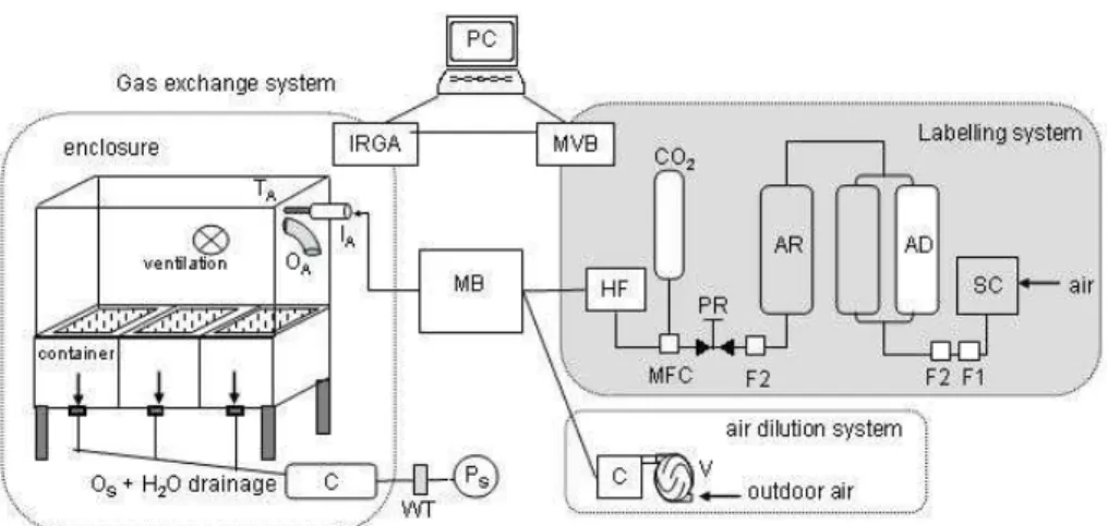 Fig. 1. Long term steady state 13 C labelling facility to investigate carbon turnover in plant- plant-soil system