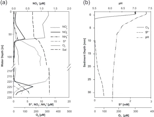 Fig. 2. Physical and chemical parameters of sampling sites in the Baltic Sea; (a) water column in the Gotland Deep, (b) coastal sediment in the Bodden.