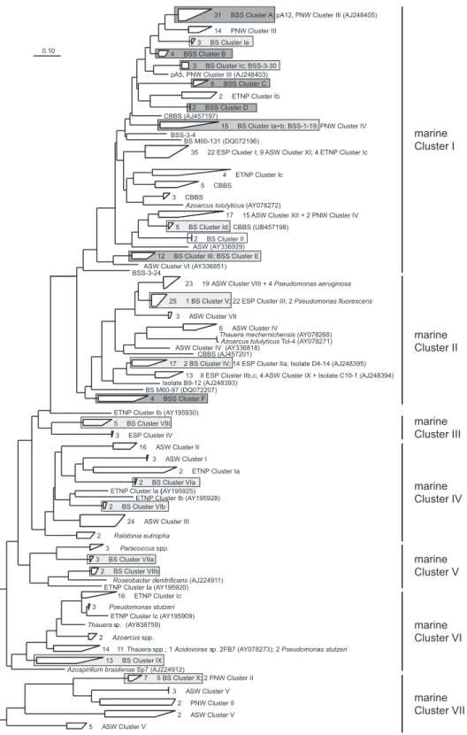 Fig. 4. Phylogenetic tree of nirS sequences from all marine habitats. Tree was calculated by the neighbour joining method based on an alignment of 166 amino acids