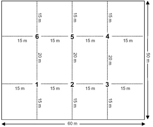 Fig. 1. Scheme of each of the five tree stands of the species trial investigated. The bold numbers indicate the six sampling locations.
