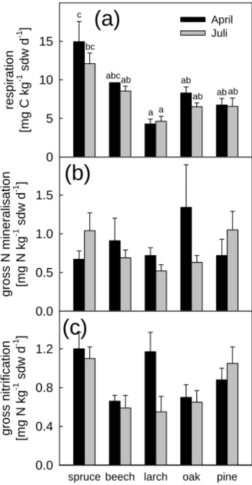 Figure 3. Rates of (a) CO 2  release, (b) gross N mineralization and (c) gross nitrification  denitrification in the first 5 cm of the A h  horizon in soils sampled on 23 April and on 2 July,  2002, from each of the five tree stands investigated