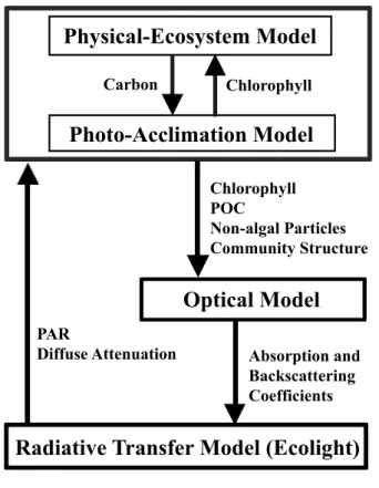 Fig. 1. Schematic view of model used in this study.