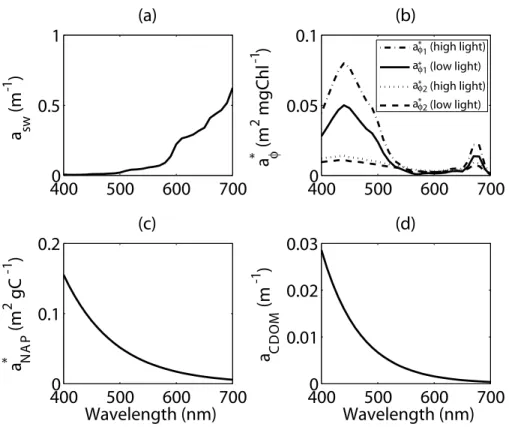 Fig. 3. Modeled (a) absorption coe ffi cient by sea water a sw (m −1 ), (b) chlorophyll-specific absorption coe ffi cients by picoplankton and diatoms (a ∗ φ1 and a ∗ φ2 , respectively) (m 2 mgChl −1 ), (c) carbon-specific absorption coe ffi cient by NAP (