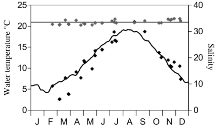 Fig. 1. Map of the studied area showing the MIRO multi-box frame (adapted from Lancelot et al., 2004) and the location of the station 330 (51 ◦ 26.05 0 N; 002 ◦ 48.50 0 E).