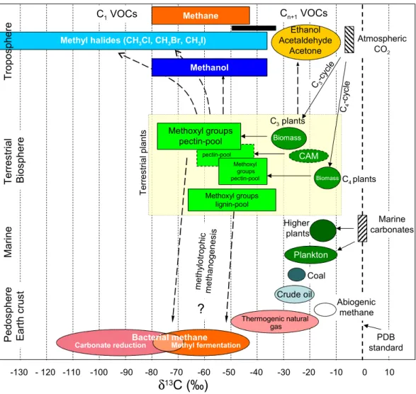 Fig. 3. Schematic diagram displaying 13 C depletion of methoxyl groups relative to bulk biomass of terrestrial plants and their relationship to biospheric C 1 and C n+1 VOCs