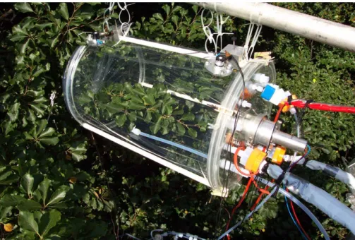 Figure 1. Enclosure of European Beech (Fagus sylvatica L.) during the experiments  performed in June 2002