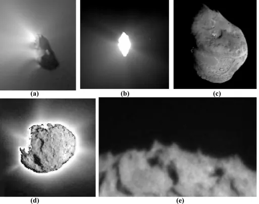 Fig. 3. (a) Giotto (Halley Multicolor Camera) image of the nucleus of Comet 1P/Halley showing bright geyser-like jets of escaping water vapor, gas, and dust