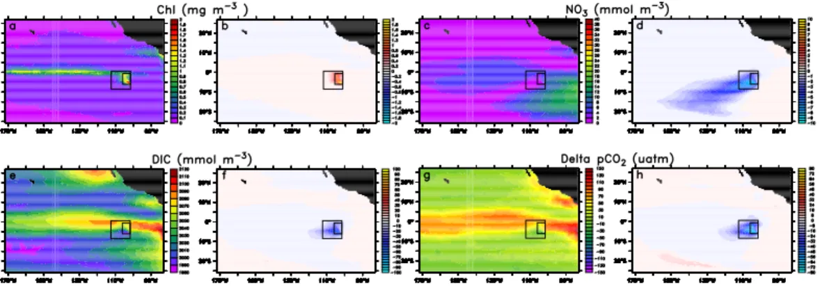 Fig. 2. Maps of the modeled response of surface ocean properties to the addition of iron for 10 years in the Eastern Tropical Pacific