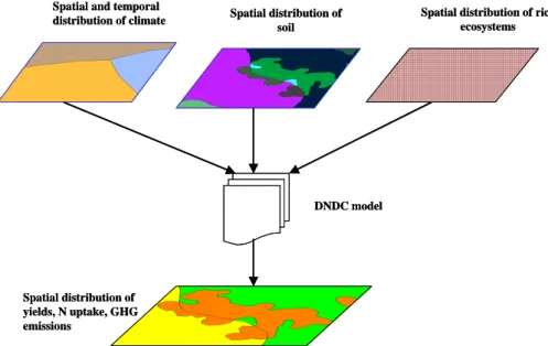Fig. 1. Approaches for the upscaling of greenhouse gas emission from rice fields in India using the DNDC model.