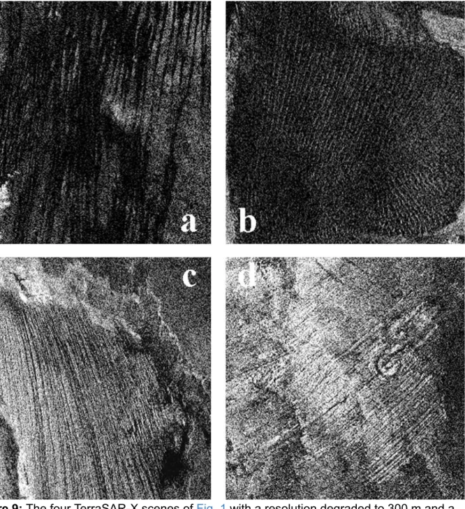 Figure 9: The four TerraSAR-X scenes of Fig. 1 with a resolution degraded to 300 m and a noise level increased to -18 dB