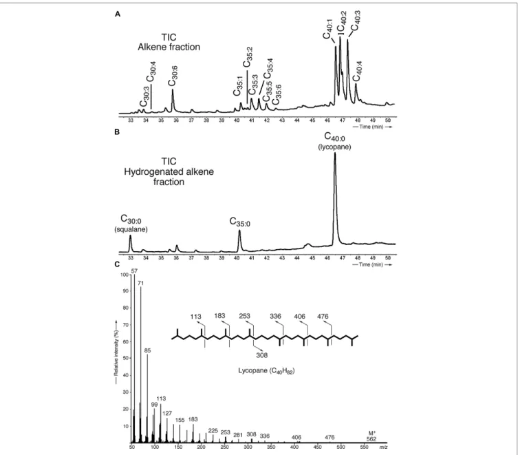 FIGURE 3 | Identification and characterization of polyunsaturated irregular isoprenoids in T
