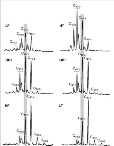 TABLE 2 | D/T ratio of core lipids in T. barophilus as a function of pressure and temperature