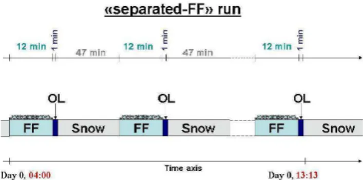 Fig. 5. Schematic description of the FF and OL settings for the separated-FF case.