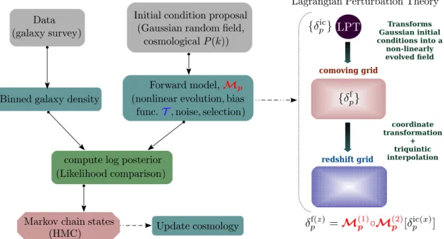 Fig. 2. Schematic representation of the reconstruction pipeline. The forward model consists of a chain of various components for the non-linear evolution from initial conditions and the subsequent transformation from comoving to redshift space for the appl