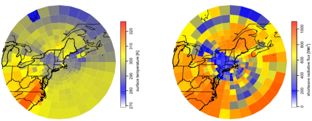 Fig. 6. Continued: Example of environmental driver fields for fluxes, temperature (left) and radiation (right) on 24 August 2004.