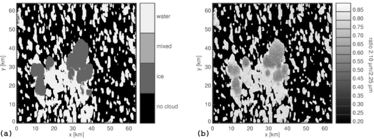 Fig. 9. Separation of thermodynamic phase. (a) cloud phase from the GCE data set for a 60 ◦ viewing zenith angle, GCE volume visible from that perspective only containing liquid water is labeled “water”, volume containing only ice water content is “ice”, v