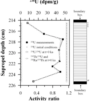 Figure 4. The model 238 U initial conditions derived from the 238 U measured profile and the initial ( 234 U/ 238 U), ( 230 Th/ 238 U) and ( 226 Ra/ 230 Th) activity ratios
