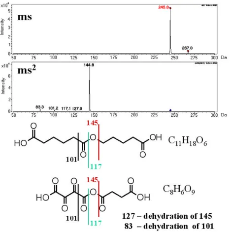 Fig. 3. Mass spectral data and structural analysis of peak with [M-H] − of 245 Da. Top: MS spectrum at peak apex