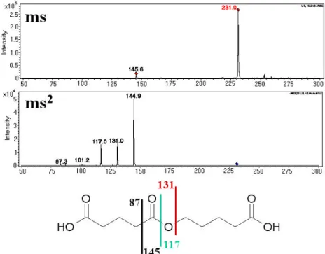 Fig. 4. Mass spectral data and structural analysis of peak with [M-H] − of 231 Da. Top: MS spectrum at chromatographic peak apex