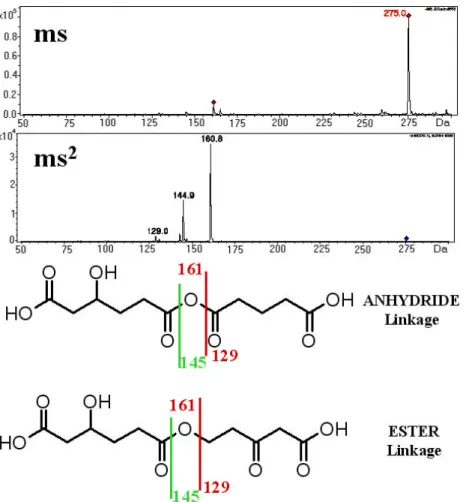 Fig. 6. Mass spectral data and structural analysis of peak with [M-H] − of 275 Da. Top: MS spectrum at peak apex
