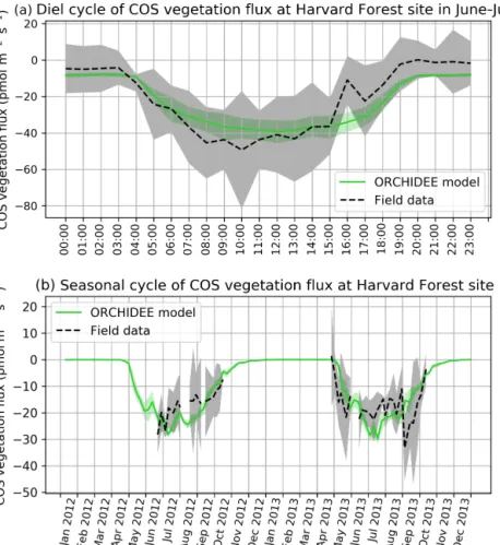 Figure 1. (a) Mean diel cycle of observed vegetation COS flux (Wehr et al., 2017) and modelled COS vegetation flux in June and July 2012 and 2013, at Harvard Forest, using an atmospheric convention where an uptake of COS by the ecosystem is negative