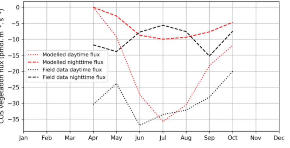 Figure 2. (a) Seasonal cycle of daytime (dotted curve) and nighttime (dashed curve) for observed (black) and modelled (red) vegetation COS fluxes